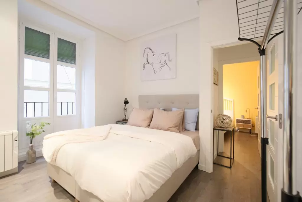 apartment for rent in La Latina