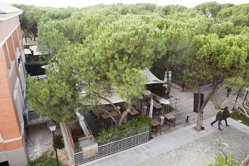 La Moraleja neighborhood